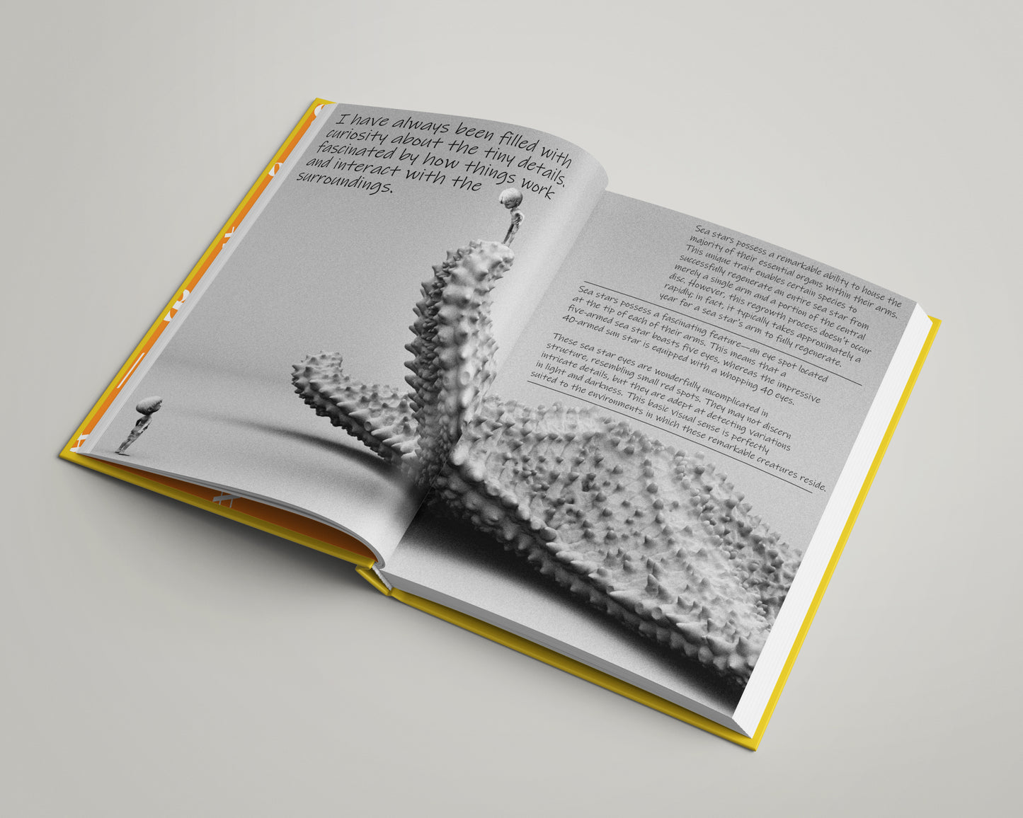 The Book Of Neurons book (ENG, DEU and NLD) Pre-Order