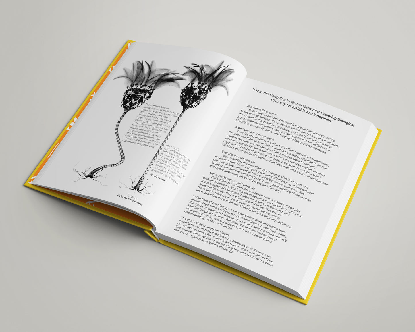 The Book Of Neurons book (ENG, DEU and NLD) Pre-Order