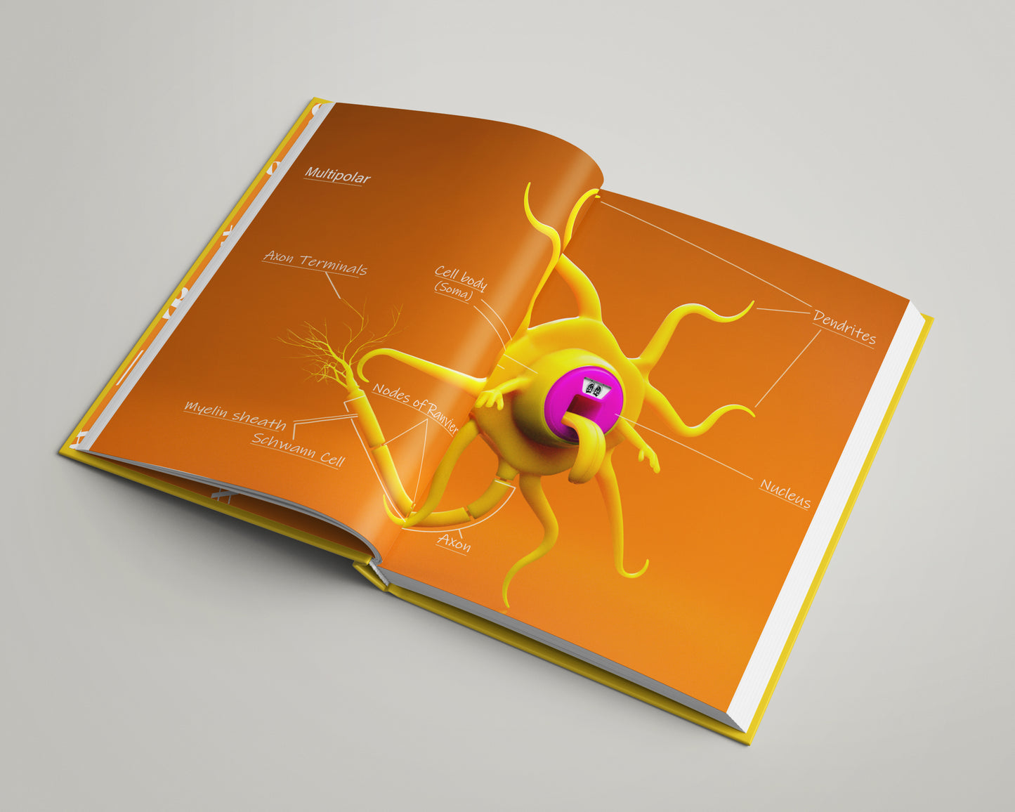 The Book Of Neurons book (ENG, DEU and NLD) Pre-Order