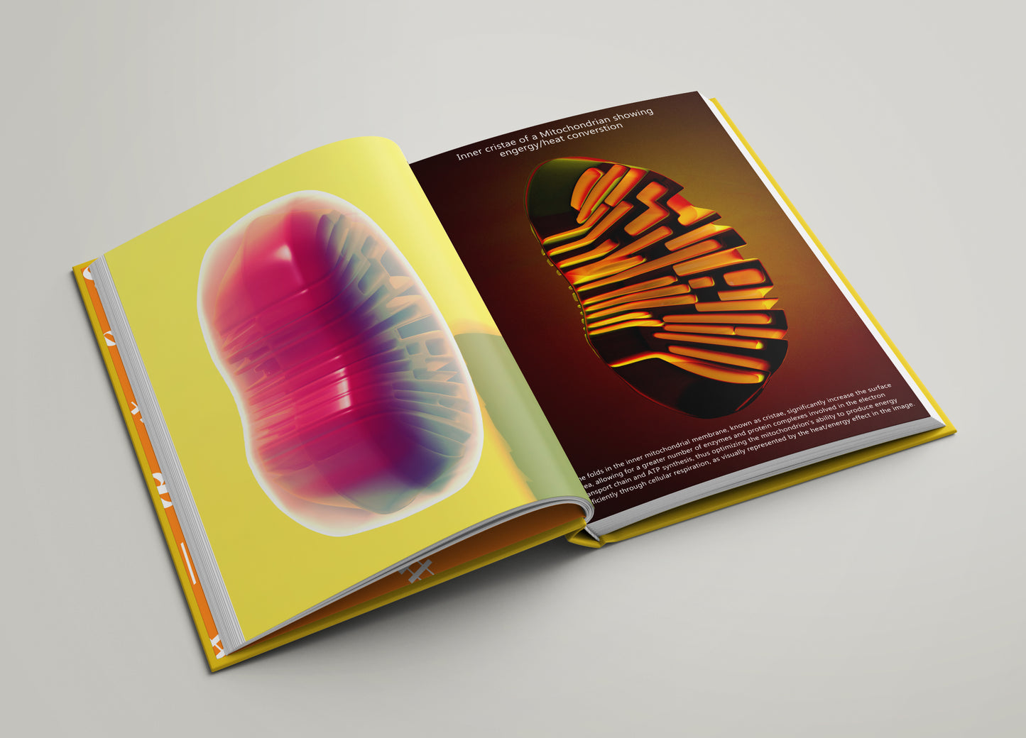 The Book Of Neurons book (ENG, DEU and NLD) Pre-Order