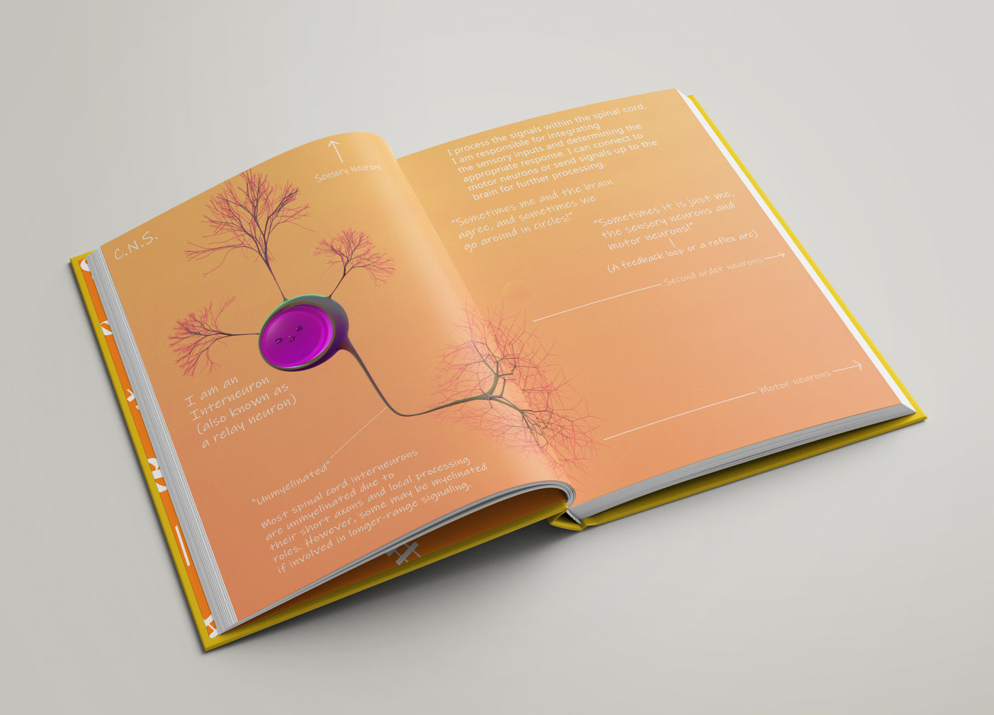 The Book Of Neurons book (ENG, DEU and NLD) Pre-Order