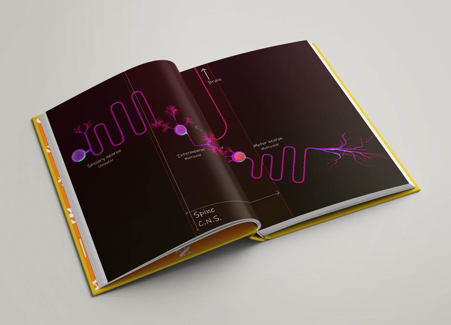 The Book Of Neurons book (ENG, DEU and NLD) Pre-Order