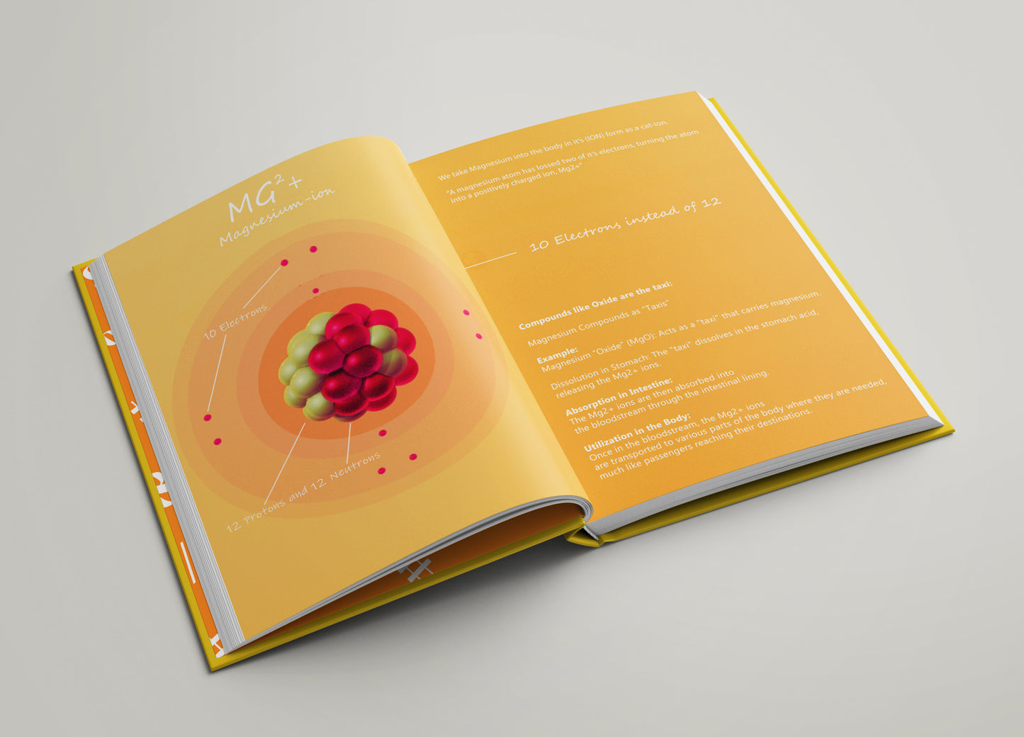 The Book Of Neurons book (ENG, DEU and NLD) Pre-Order