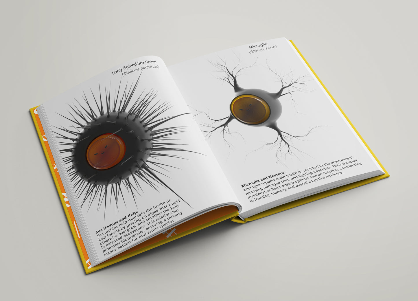 The Book Of Neurons book (ENG, DEU and NLD) Pre-Order