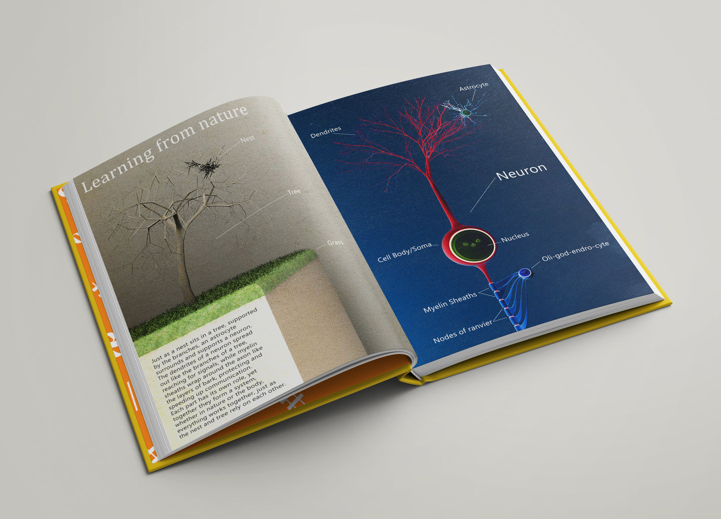 The Book Of Neurons book (ENG, DEU and NLD) Pre-Order